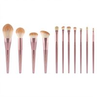 Technique PRO Radiance Makeup Borste Set - 11 Makeupborstar