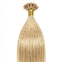 Hot Fusion Hair extensions 50 cm, 613# Blond