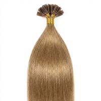 Hot Fusion Extensions 60 cm, mellanblond 27#